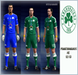 imagen Panathinaikos FC 12/13 Home by KaNaRiO [PC]